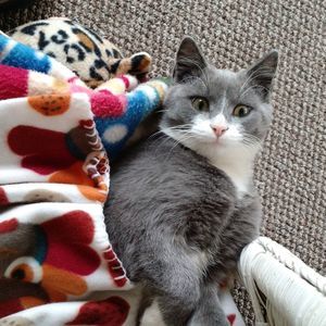 Meet your Posher, Donna